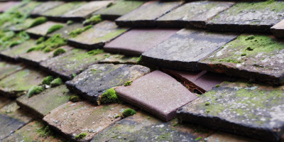 Bulphan roof repair costs